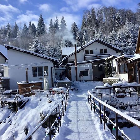 Podul De Brazi - Fir Bridge Villa Cîrţişoara Екстериор снимка