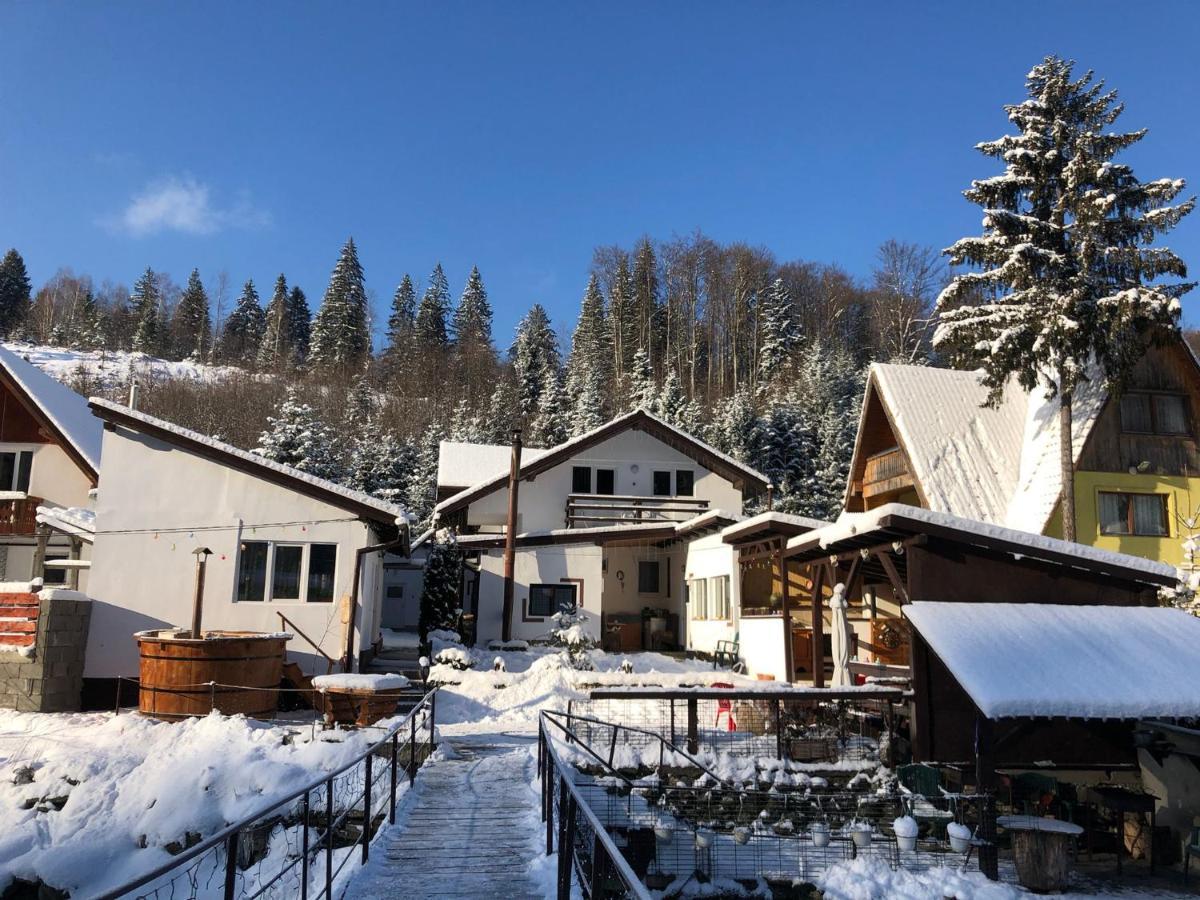 Podul De Brazi - Fir Bridge Villa Cîrţişoara Екстериор снимка