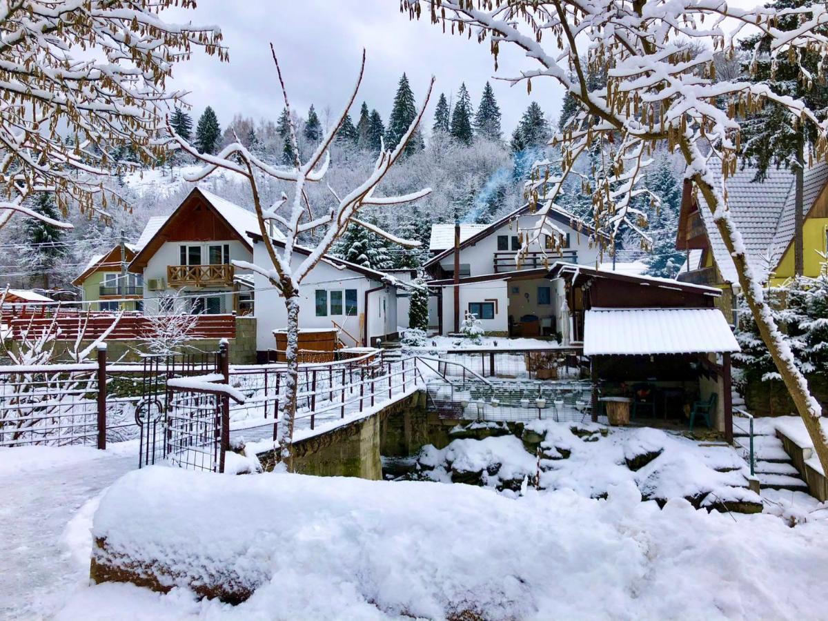 Podul De Brazi - Fir Bridge Villa Cîrţişoara Екстериор снимка