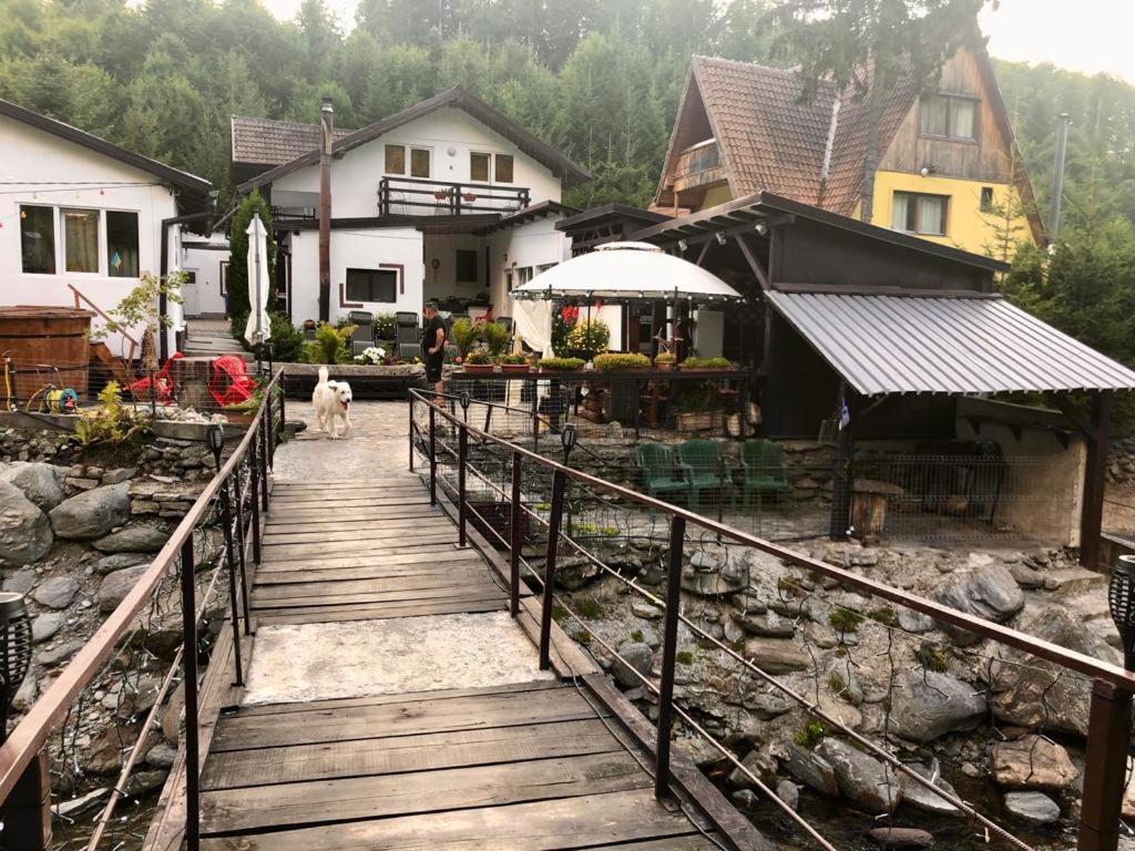 Podul De Brazi - Fir Bridge Villa Cîrţişoara Екстериор снимка