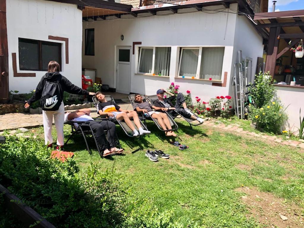 Podul De Brazi - Fir Bridge Villa Cîrţişoara Екстериор снимка
