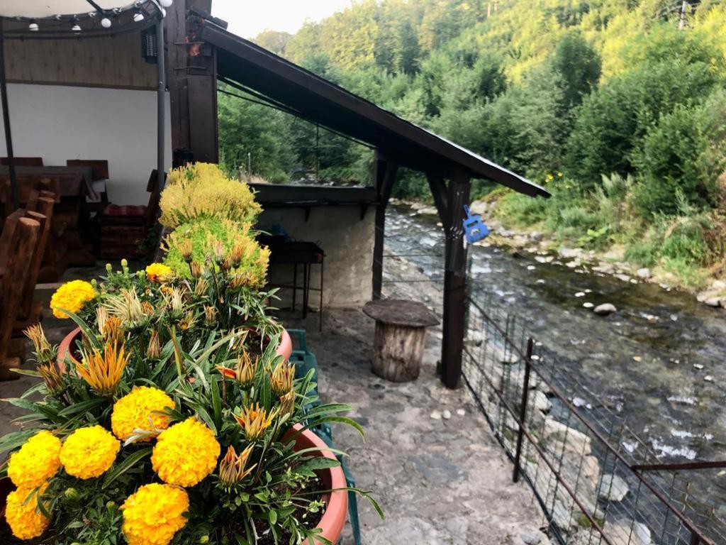 Podul De Brazi - Fir Bridge Villa Cîrţişoara Екстериор снимка