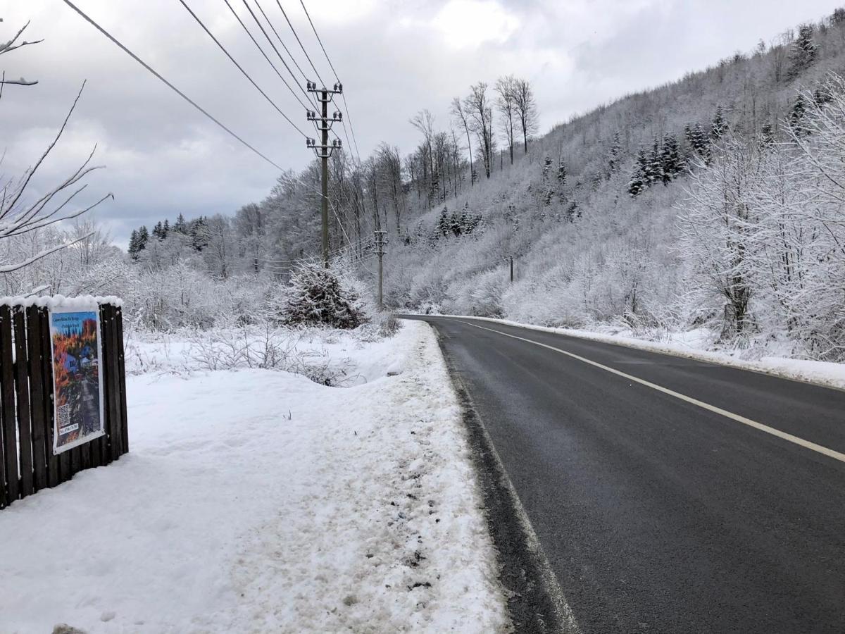 Podul De Brazi - Fir Bridge Villa Cîrţişoara Екстериор снимка