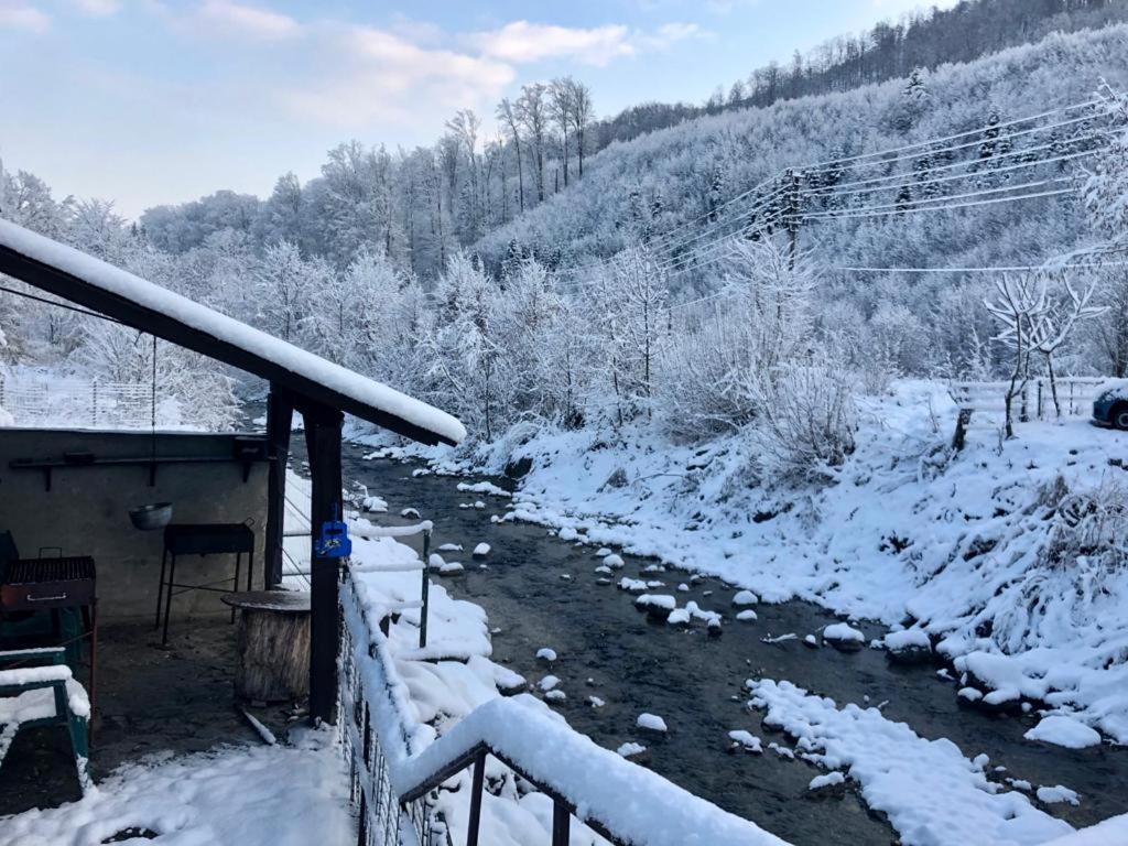 Podul De Brazi - Fir Bridge Villa Cîrţişoara Екстериор снимка