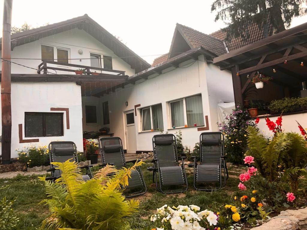 Podul De Brazi - Fir Bridge Villa Cîrţişoara Екстериор снимка