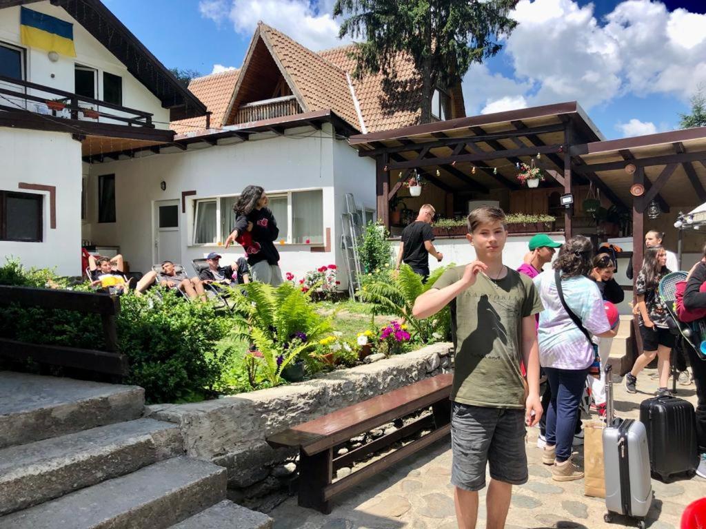 Podul De Brazi - Fir Bridge Villa Cîrţişoara Екстериор снимка