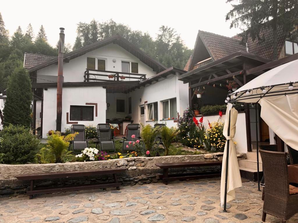 Podul De Brazi - Fir Bridge Villa Cîrţişoara Екстериор снимка