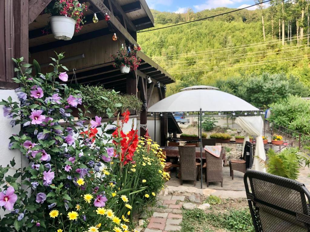 Podul De Brazi - Fir Bridge Villa Cîrţişoara Екстериор снимка