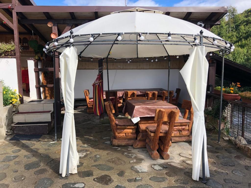 Podul De Brazi - Fir Bridge Villa Cîrţişoara Екстериор снимка