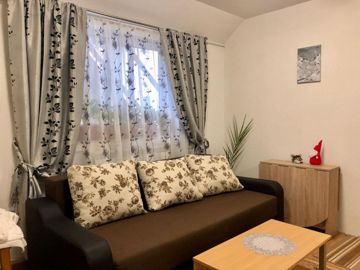 Podul De Brazi - Fir Bridge Villa Cîrţişoara Екстериор снимка