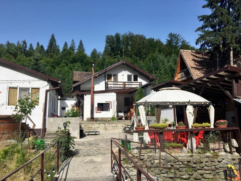 Podul De Brazi - Fir Bridge Villa Cîrţişoara Екстериор снимка