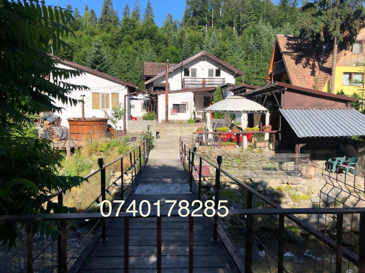 Podul De Brazi - Fir Bridge Villa Cîrţişoara Екстериор снимка