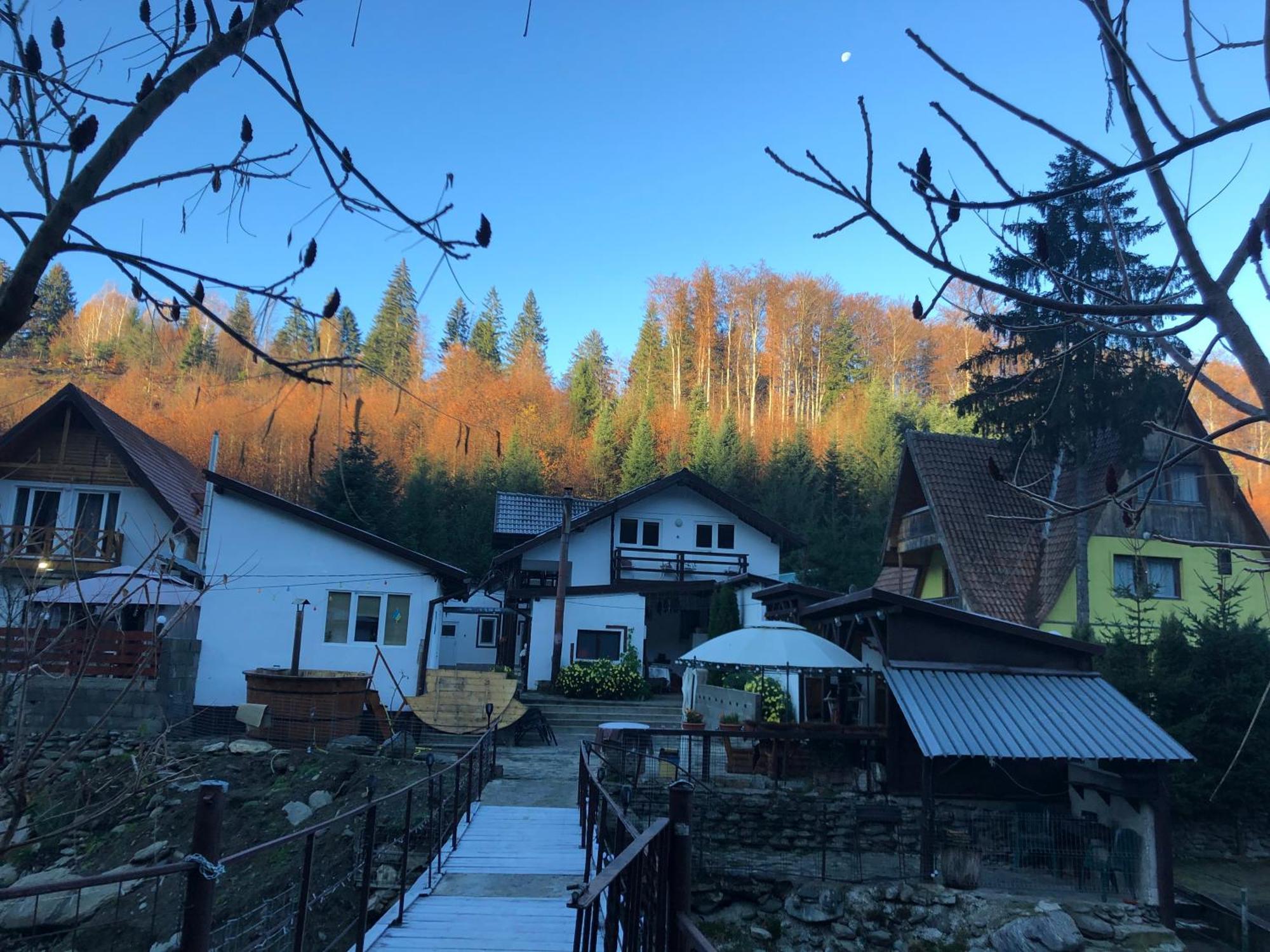 Podul De Brazi - Fir Bridge Villa Cîrţişoara Екстериор снимка