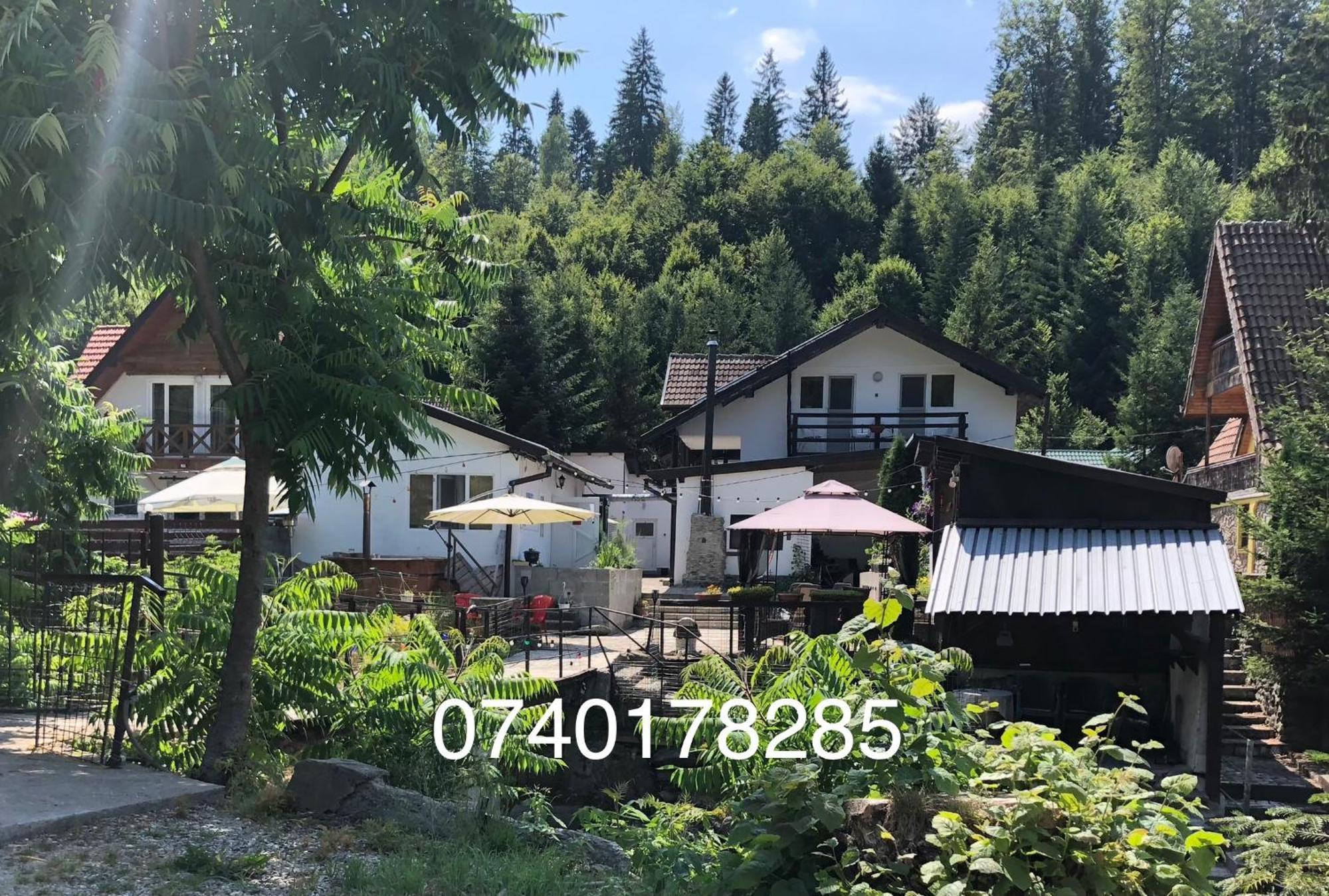 Podul De Brazi - Fir Bridge Villa Cîrţişoara Екстериор снимка