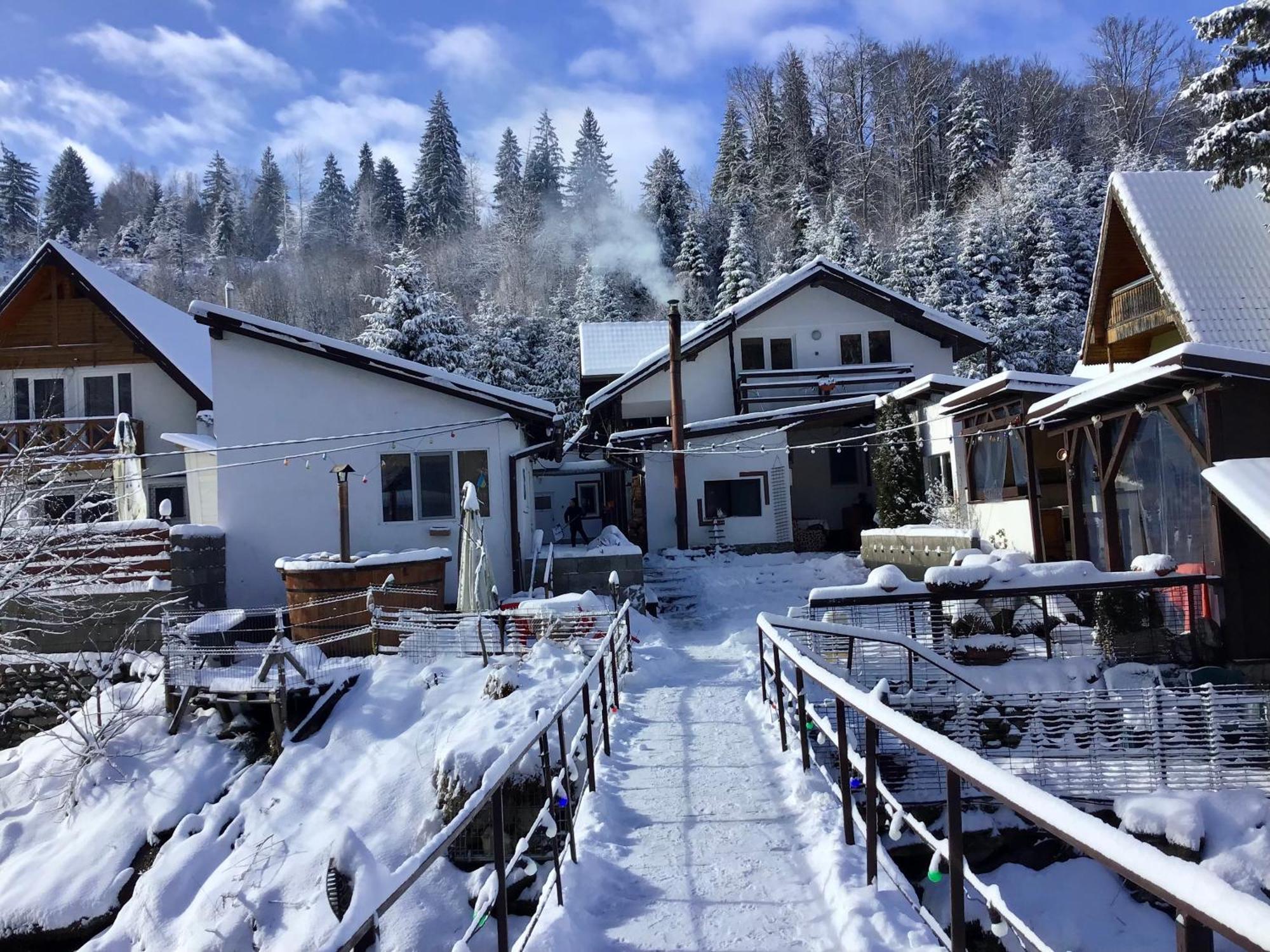 Podul De Brazi - Fir Bridge Villa Cîrţişoara Екстериор снимка